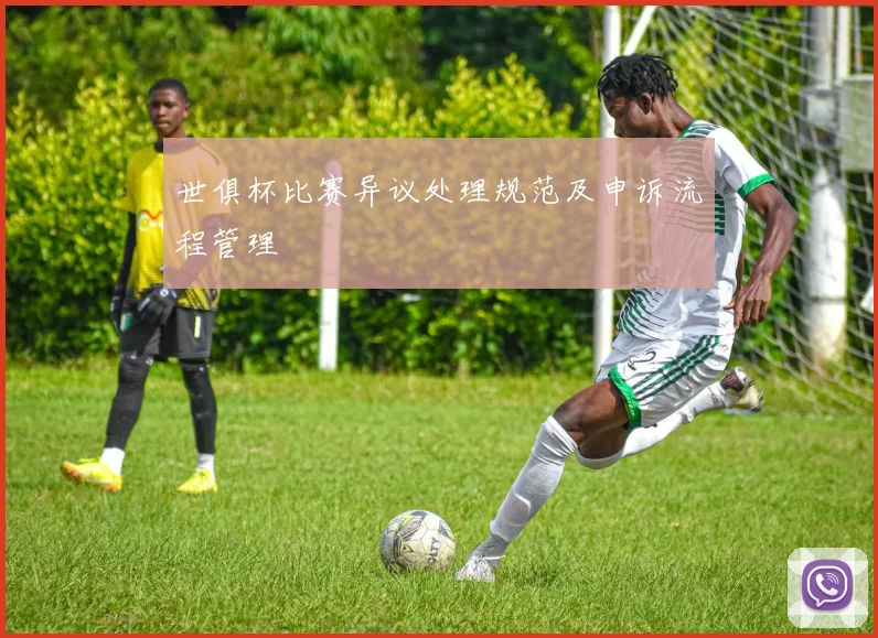 世俱杯比赛异议处理规范及申诉流程管理
