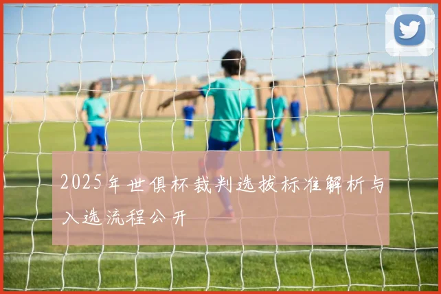 2025年世俱杯裁判选拔标准解析与入选流程公开