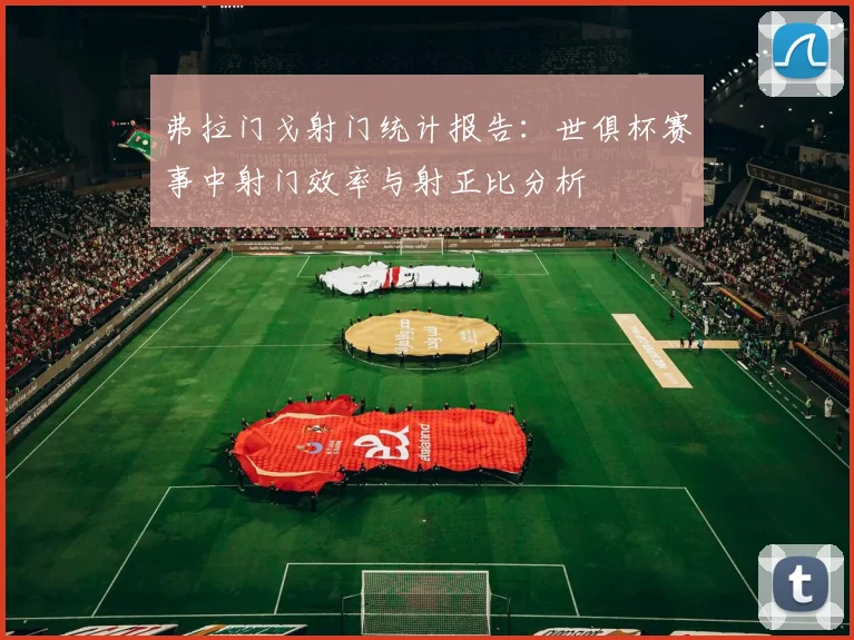 弗拉门戈射门统计报告：世俱杯赛事中射门效率与射正比分析