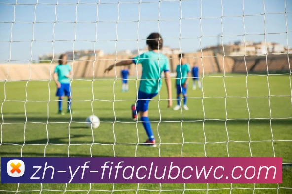 世界杯平台APP 高清赛事图