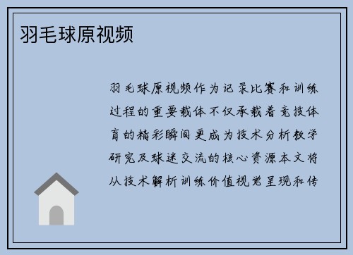 羽毛球原视频