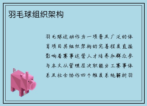 羽毛球组织架构