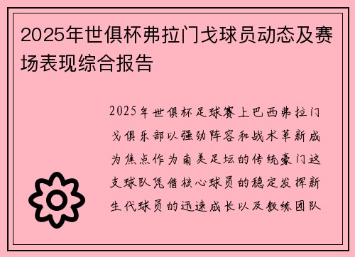 2025年世俱杯弗拉门戈球员动态及赛场表现综合报告