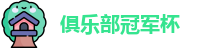 2025足球世俱杯官网